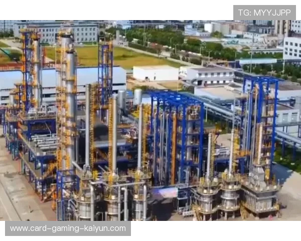 山东泰山侧翼推进切开缺口